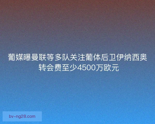 葡媒曝曼联等多队关注葡体后卫伊纳西奥 转会费至少4500万欧元